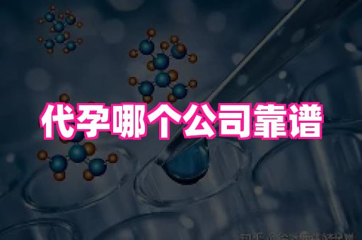 海口助孕网站 1