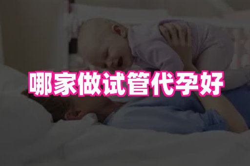 海口助孕网站 2