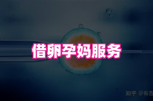 海口助孕网站 3