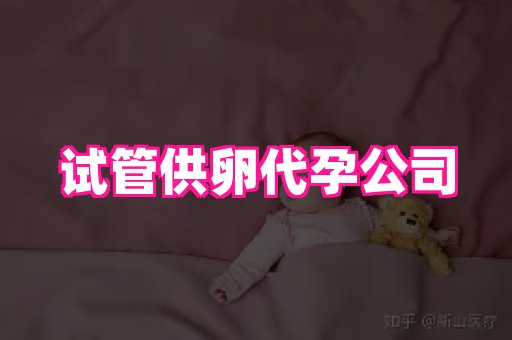 海口助孕网站 4